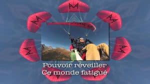 Comme toi l'oiseau