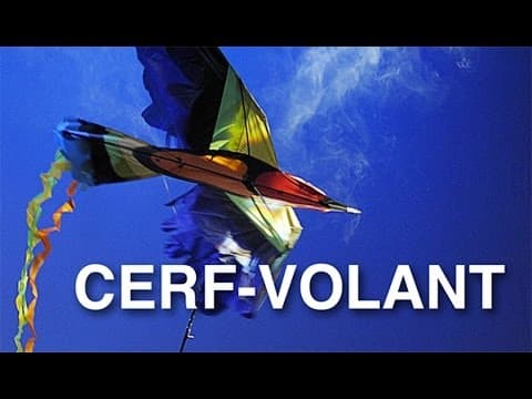 Vidéo "Cerf-volant"
